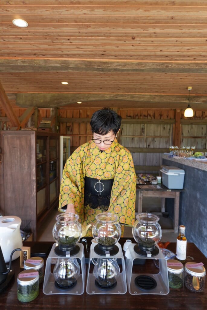 One Leaf, Five Expressions of Kyushu